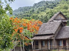 -海南槟榔谷黎苗文化旅游区
