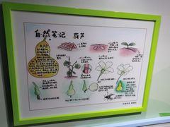 -上海昆虫博物馆