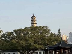 -江心屿景区