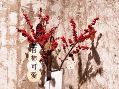 -喜柿咖啡SeeS coffee