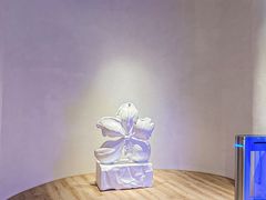 -涨巢·潮玩水疗局