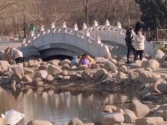 -绿岛公园(滨海新区)