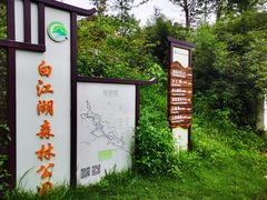 -广州白江湖森林公园