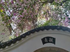 -深圳国际园林花卉博览园