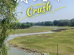 -北京麋鹿生态实验中心