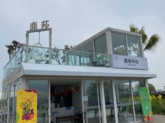 -空港花田景区