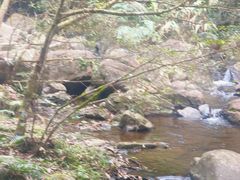 -黄金沟旅游风景区