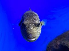 -泉城欧乐堡海洋极地世界