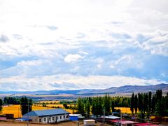 -蘑菇拌面•正宗新疆菜