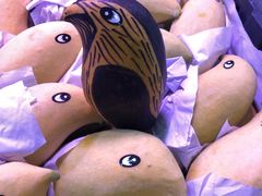 -深圳市海吉星国际农产品物流管理有限公司