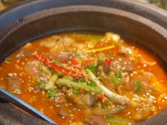 -辛香汇·现炒川菜(淮海路百盛店)