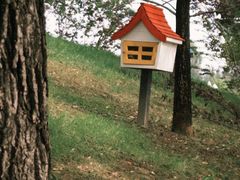 -圣露庄园·露营·烤肉·亲子