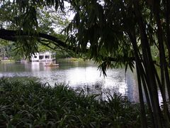 -晓港公园