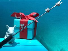 -Tiffany & Co.蒂芙尼
(天津万象城店)