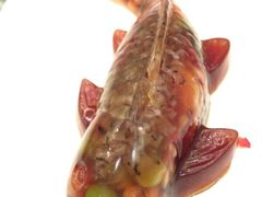 鱼-舞鹤日本料理铁板烧(华侨城店)