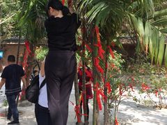 景点-紫云谷景区