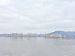-东湖落雁景区