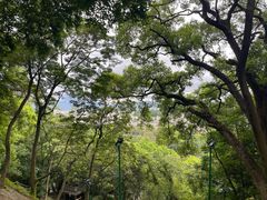 -潮州西湖