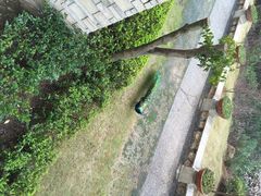 千岛湖开元度假村-杭州千岛湖开元度假村