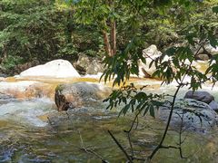 -青峰峡国家森林公园