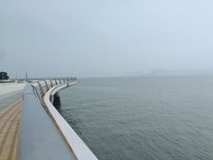 -演武大桥观景平台