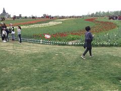 -荷兰花海
