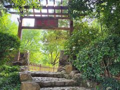 -无锡蠡湖国家湿地公园-蠡园