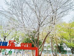 -金轮星光名座生活广场