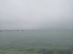 -北海金海湾红树林生态旅游区