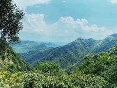 -莫干山风景区