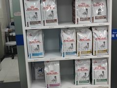 -申普宠物医院·心脏介入·心血管微创(总院)