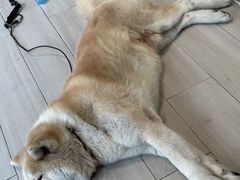 -YCHL Studios健身工作室(市二宫店)