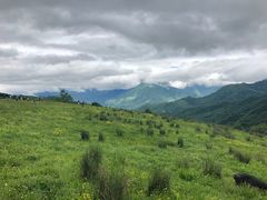 -硗碛藏寨·神木垒景区