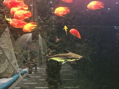 -弘安丽水温泉酒店