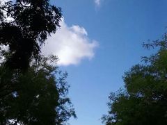 -山东大学(威海校区)