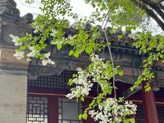 -潭柘寺景区