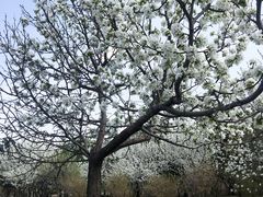 -长春公园(普阳街道)