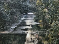 -上海滨江森林公园