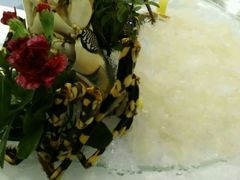 -明珠海港大酒店