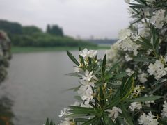-刘长兴(三牌楼店)