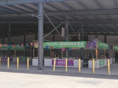 -马陆小张葡萄园农家乐