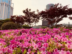 -上海港国际客运中心
