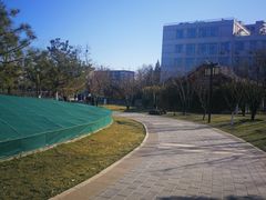 -西海子公园