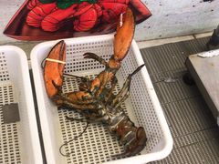 -驻海渔市(置信店)