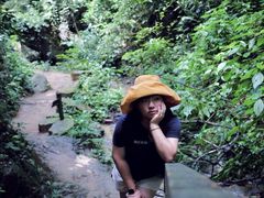 -西双版纳原始森林公园