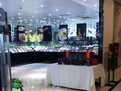 -宝燕壹号(徐汇店)