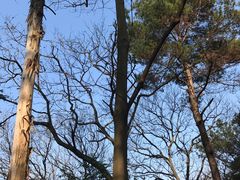 -三门江国家森林公园