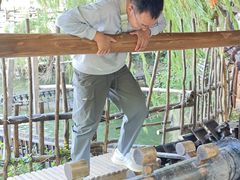 -天目湖山水园