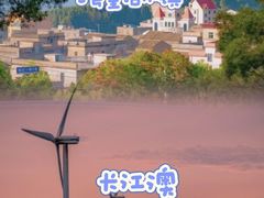 -坛南湾阿强农家乐.海鲜大排档老字号(福州地标美食店)