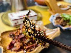 -昆虫窝子·特色云南菜(拓东路总店)